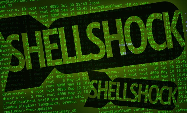 Visual for this record: A decades-old Bash flaw called Shellshock reached the web via CGI